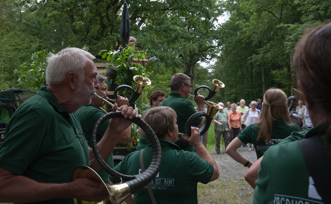 Jagdhornklang am Waldesrand