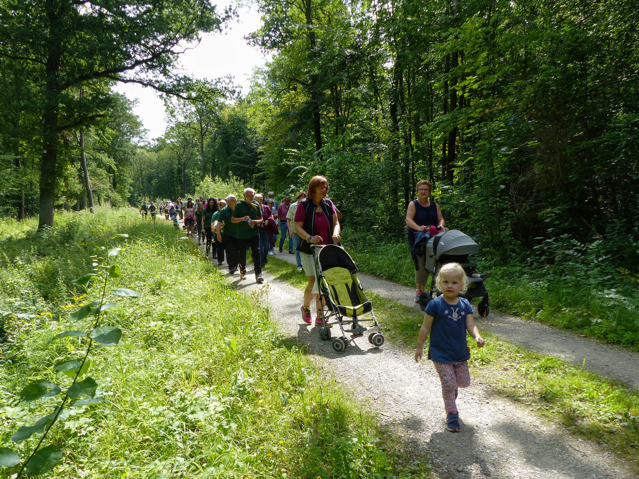 Jagdhornklang am Waldesrand