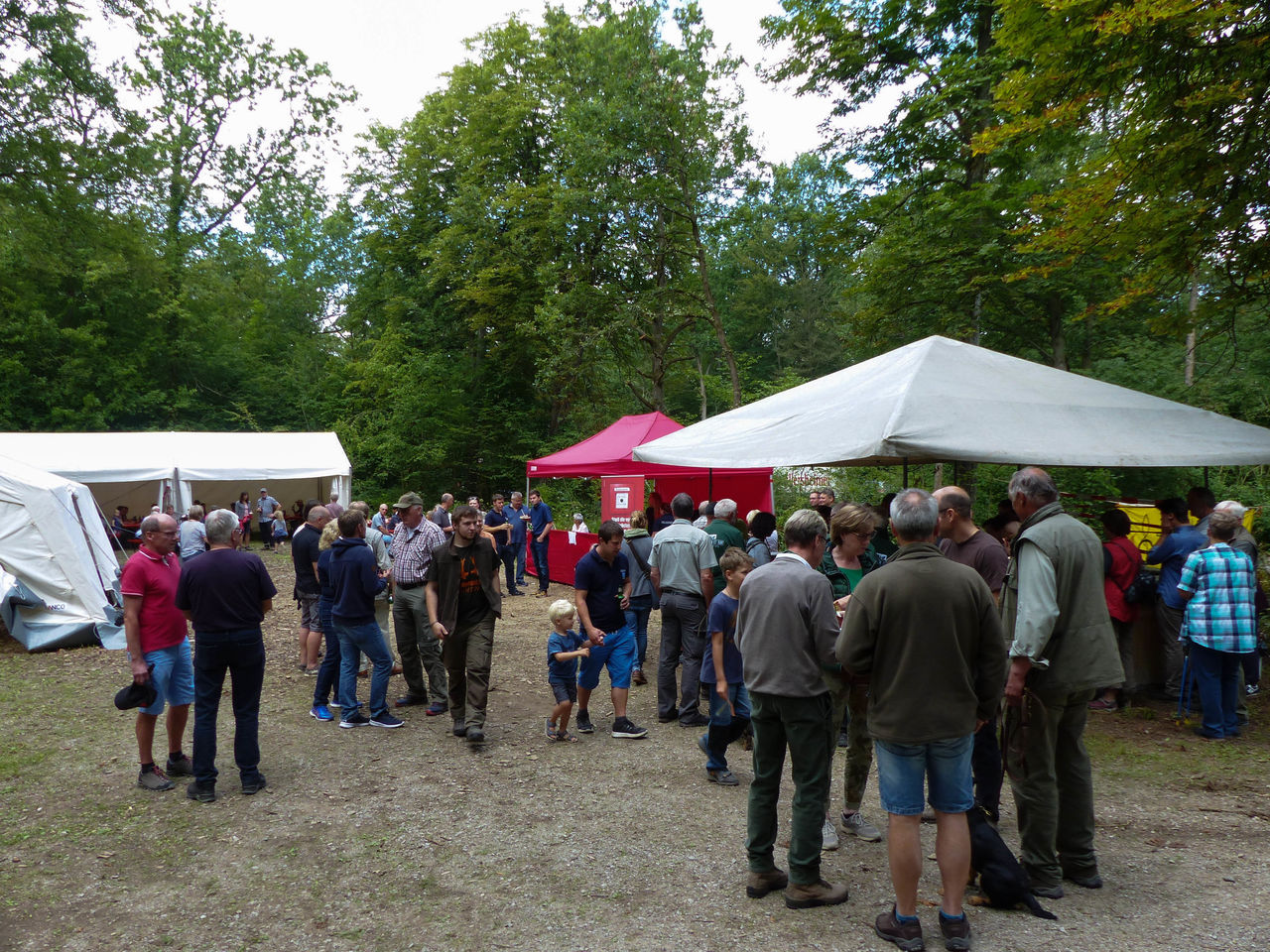 Jagdhornklang am Waldesrand