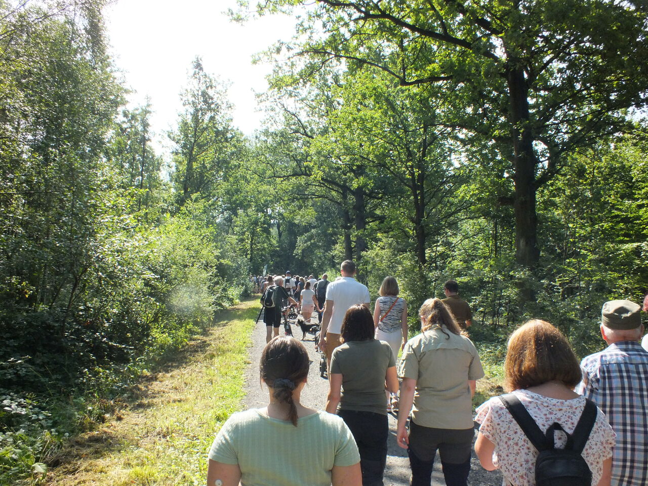 Hoernerklang am Wegesrand