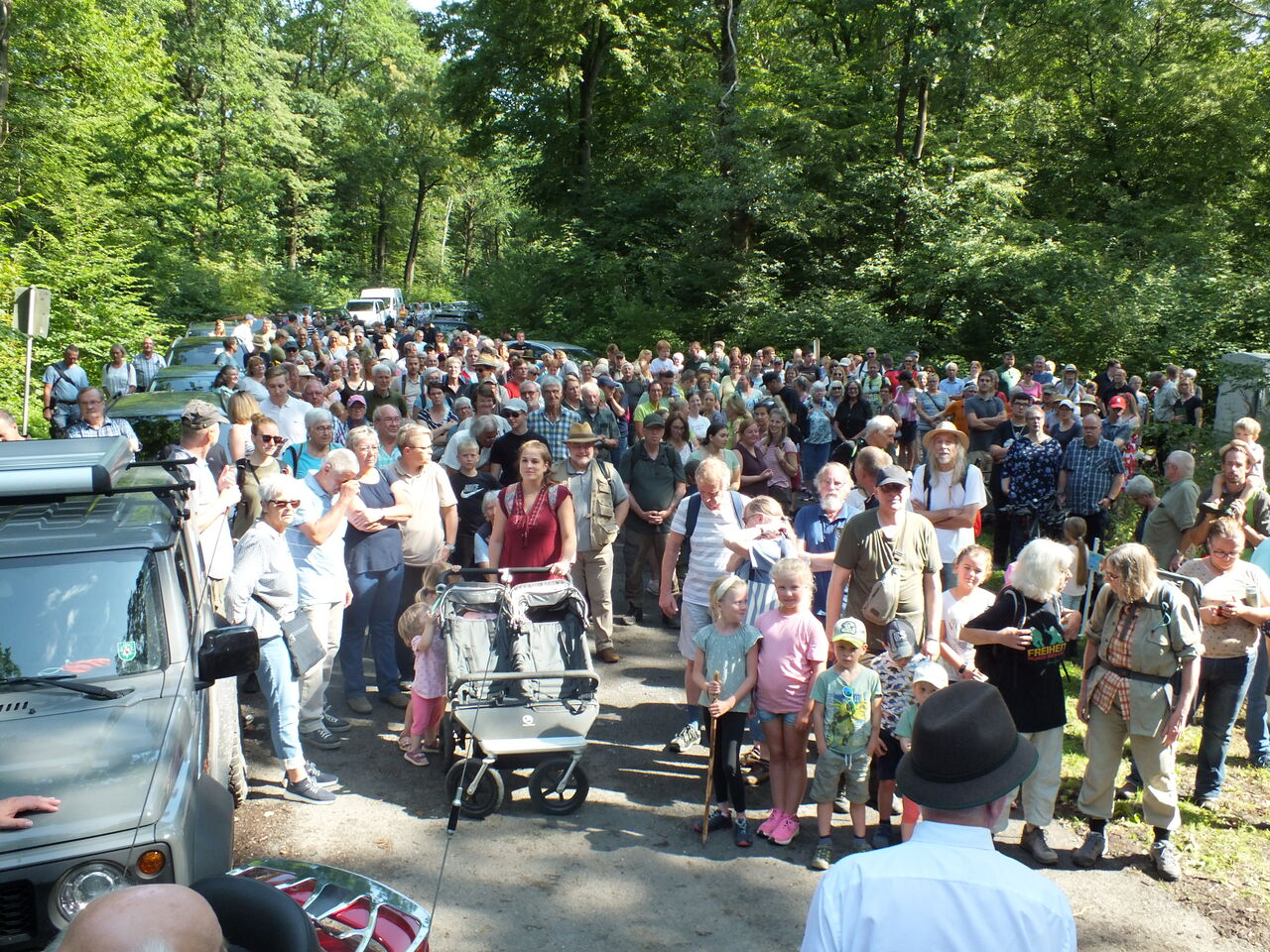 Hoernerklang am Wegesrand