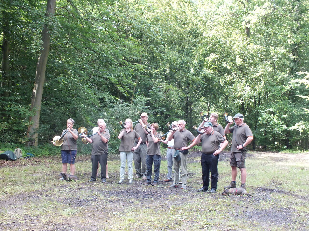 Hoernerklang am Wegesrand