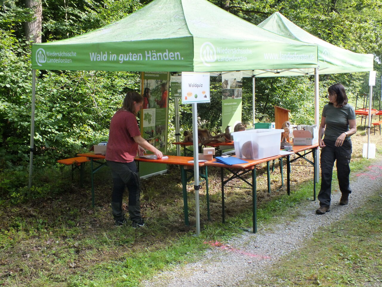 Hoernerklang am Wegesrand